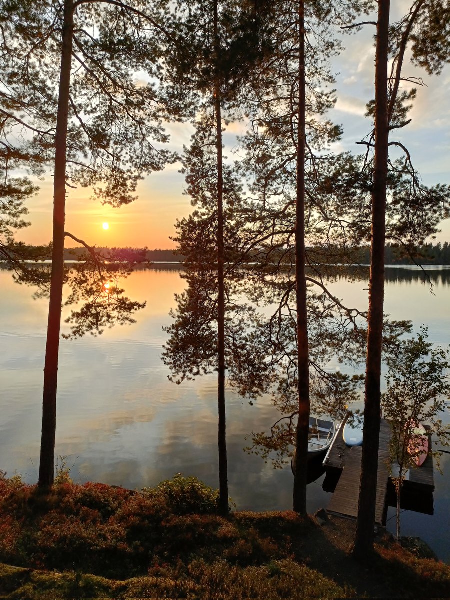 Thanks Tracon and cottage meet with friends! It was quite a memorable weekend!

📸: Lyak, me

#furry #fursuit #FursuitEveryday