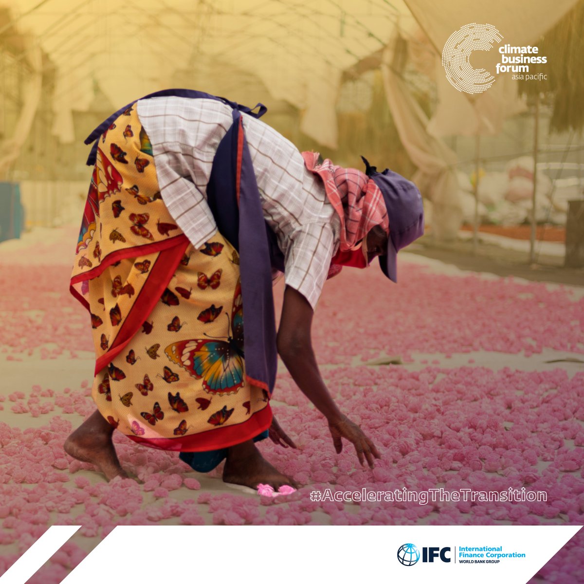 IFC_SouthAsia's tweet image. Most multinational companies plan to remove suppliers that endanger their carbon transition plans. For #SMEs in the supply chain, becoming more sustainable is essential to staying in business. Learn how SMEs are adapting to this new era: wrld.bg/apag50WSXSe
#CBF25 @hkmagovhk