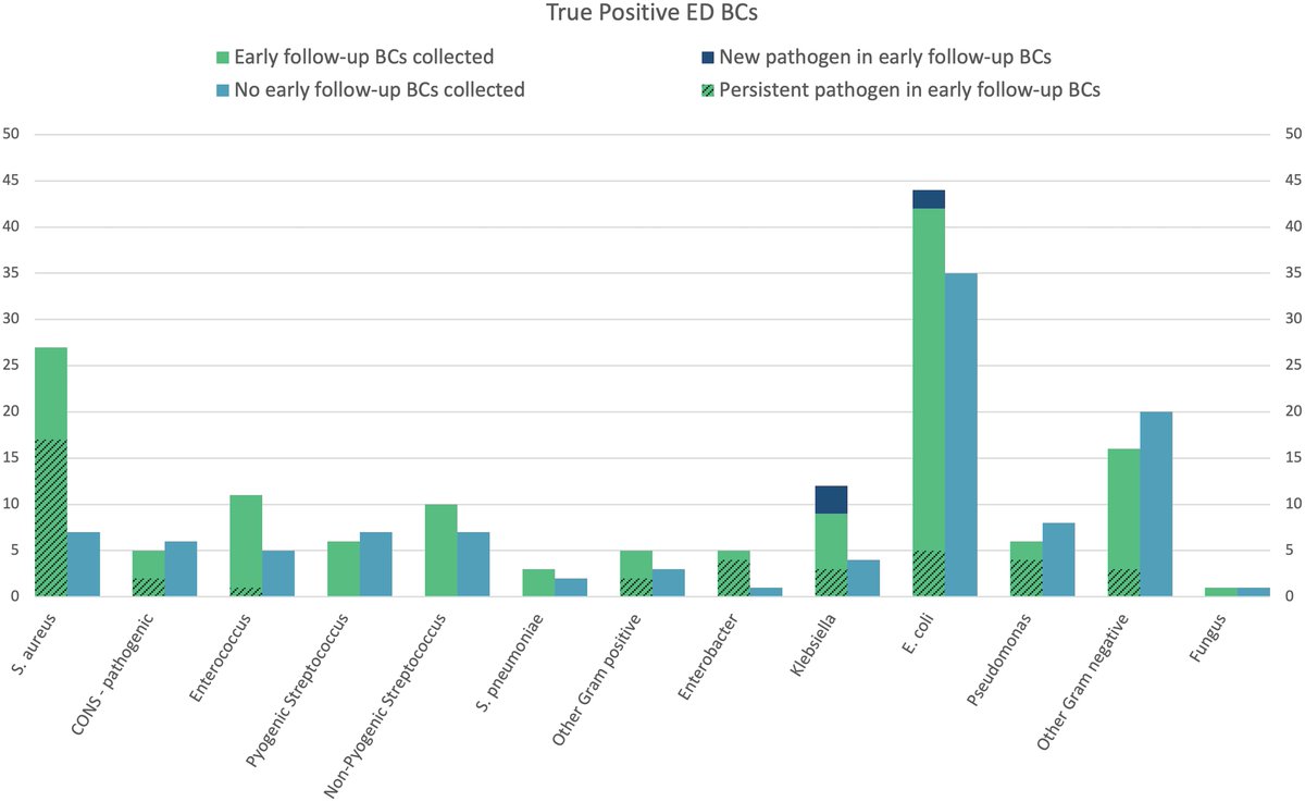 #IDTwitter <a href="/ASHE_Journal/">ASHE Journal</a> <a href="/PriyaNori/">Priya Nori MD, FSHEA, FIDSA</a>  Early follow-up blood cultures—frequency and outcomes of repeat blood culture collection within 48 hours of emergency department workup: an observational study bit.ly/4genkG6