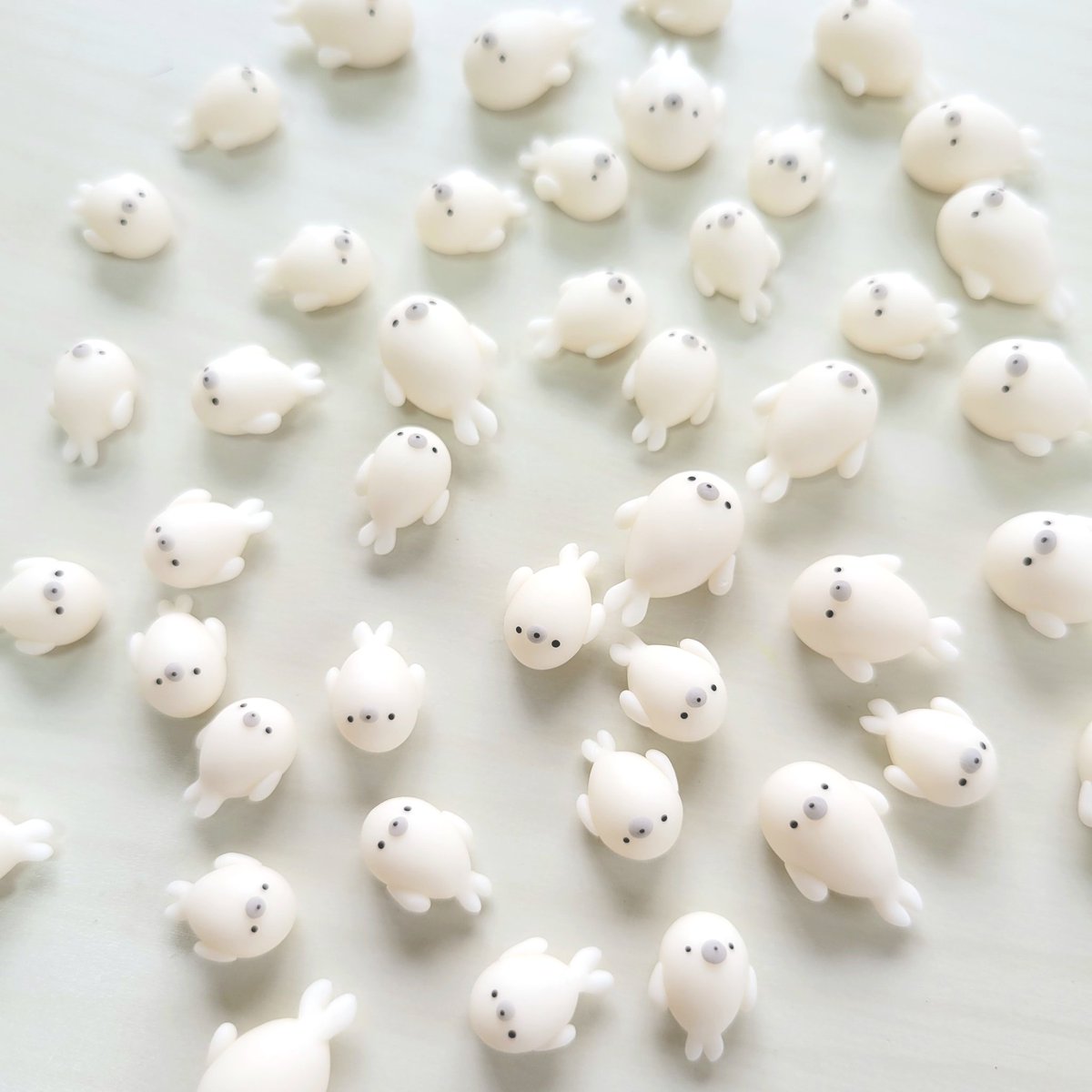 仰向けで泳ぐアザラシ🦭