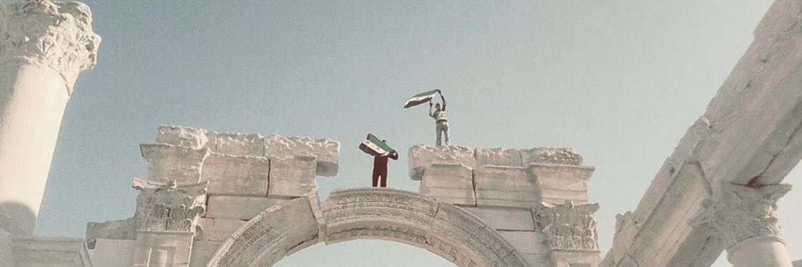 Palmyra pinterest tweet media