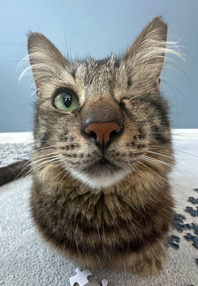 Thank you for meeting me at Vexpo 💕 here is a Haro piccy to represent my gratitude: