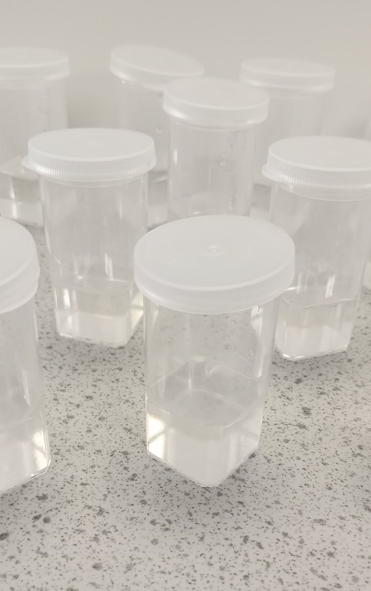 National Centre for Biotechnology Education tweet media