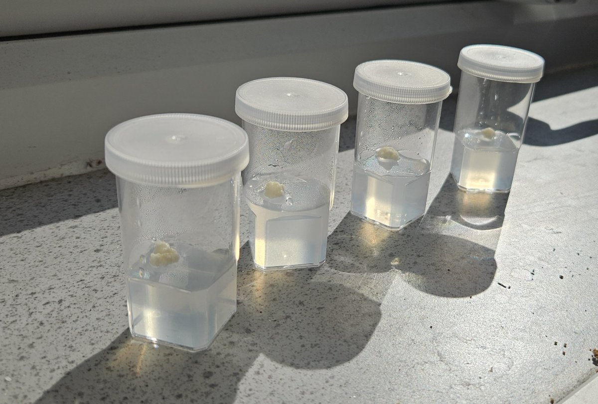 National Centre for Biotechnology Education tweet media