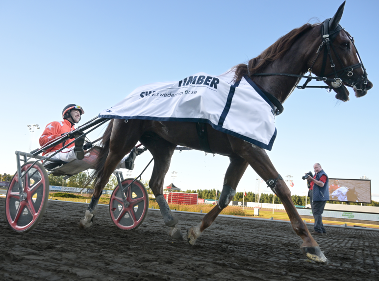 HalmstadTravet tweet media