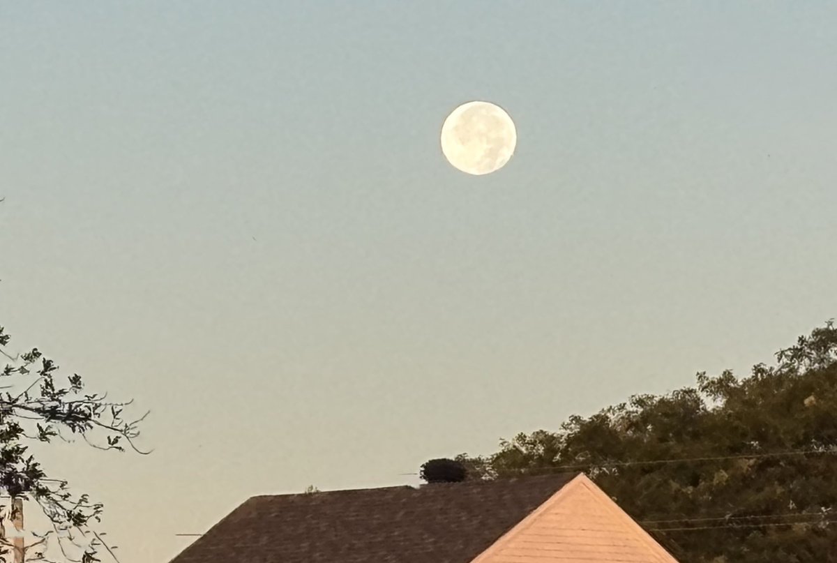Étant donné que j’ai dû quitter très tôt ce matin j’ai capté seulement le début du lever du soleil. Par contre, à destination, j’ai vu la lune dans toute sa splendeur ! Bonne semaine. 

📸 Lise Gagné ©