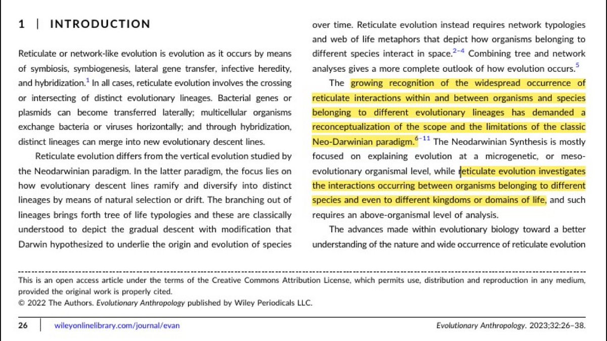 MeasureOfGod's tweet image. Legislating Nigs &amp;amp; Mongo|s human is a Trojan Horse. Ernst Mayr removed all science indicating they are a separate species &amp;amp; committed forgery by calling it Neo-Darwinism. Human Chimeras are illegal. Phylogeny requires discrimination. This is a Human Rights violation. Hate speech…
