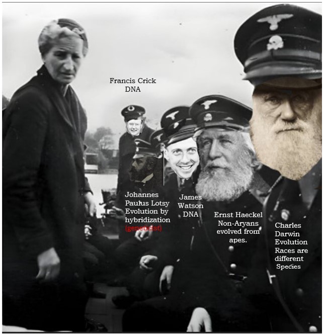 MeasureOfGod's tweet image. Legislating Nigs &amp;amp; Mongo|s human is a Trojan Horse. Ernst Mayr removed all science indicating they are a separate species &amp;amp; committed forgery by calling it Neo-Darwinism. Human Chimeras are illegal. Phylogeny requires discrimination. This is a Human Rights violation. Hate speech…