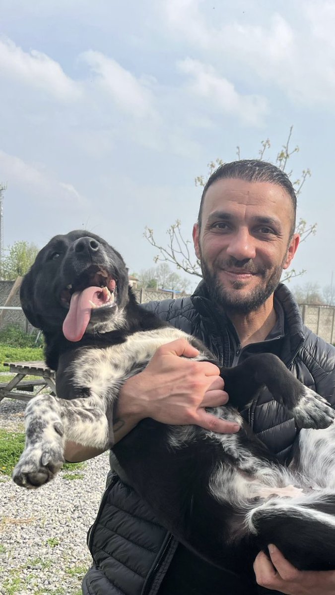 Yıllardır Köpekleri Hedef Aldılar,
Bu Arada Katil Tecavüzcü Bir Nesil Yarattılar…
Reşit Olmayan Birinin İşlediği Bütün Suçlardan Aİleside Sorumludur❗️
Yok Öyle Tecavüzcü,Katil Psikopat Bir PİÇ Yetiştir,,,
Sokaklara Sal, 
Kan Akıtınca, Bizim Çocuğumuz Çok İyiydi Diyerek Salağa