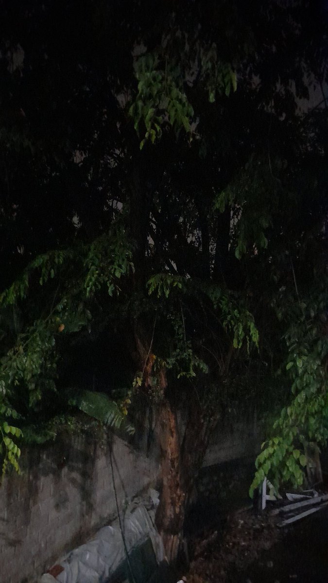 algasaaa's tweet image. buat lo yang punya pengalaman horor dan bersedia tayang di podcast (youtube) bisa DM saya.

ada fee buat lo.
kalo sekiranya cerita lo menarik dan berhasil tayang. @IDN_Horor