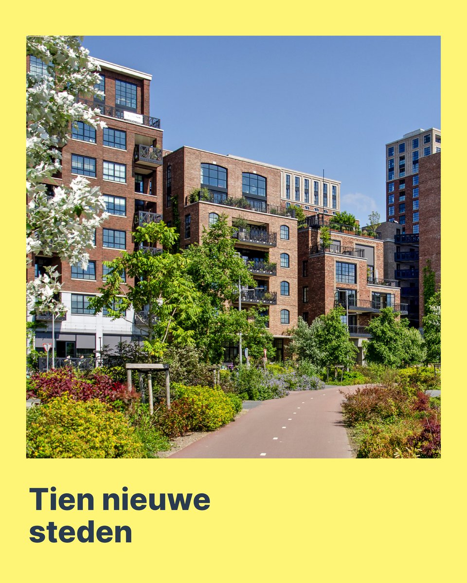 D66 tweet media
