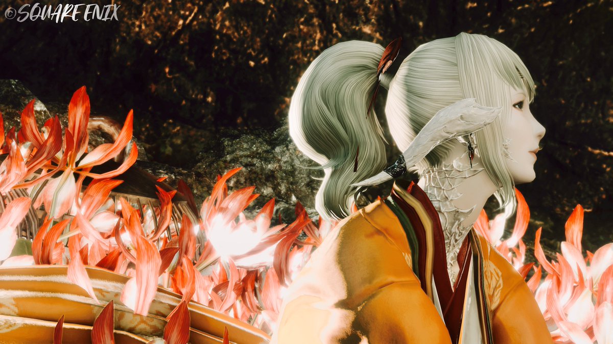 「夏の夜の幻想郷」

深夜の撮影会でした·͜· ︎︎ᰔᩚ
また遊んでね(*ฅ́˘ฅ̀*)♡

 #ぽぷりさんちの秘密の花島 #FF14