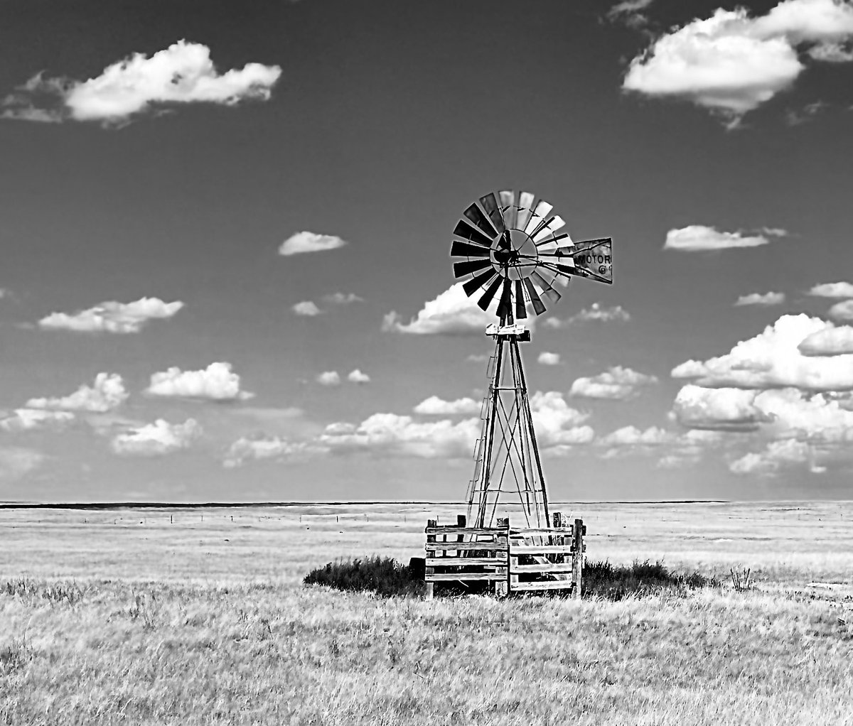 Happy #MonochromeMonday everyone… make it a great start to the new week 🤙🏻