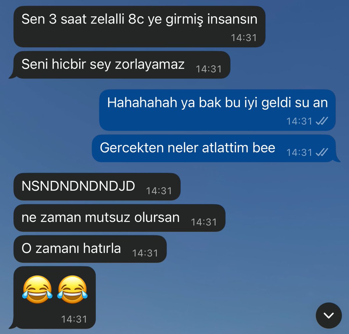 programıma yapılabilen tek teselli ektedir’