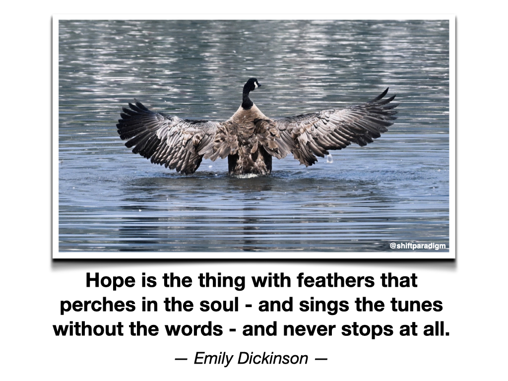 Morning thought... #720 #quotesoftheday #edchat #edusky