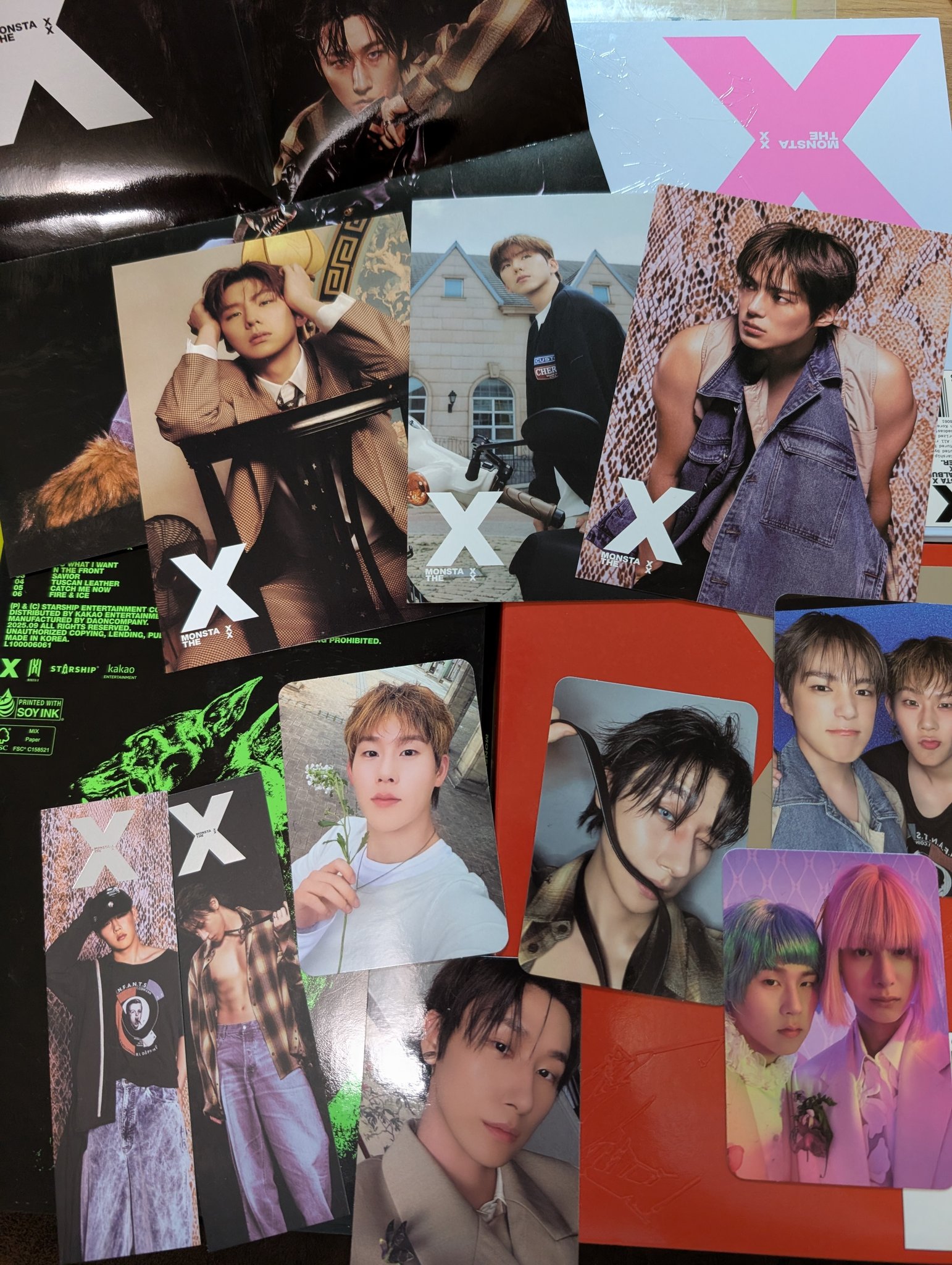 MyMy🐢 on X: 