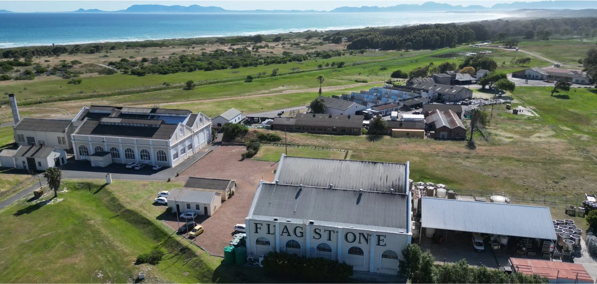 Lionel Smit Studio is situated in Paardevlei Estate, Somerset West.

Planning a visit? Why not make a full day of it?

- Explore beautiful art at Lionel Smit Studio
- Meet the ambassador animals at Cheetah Outreach
- Enjoy a craft beer tasting at Triggerfish Brewing
- Take a walk