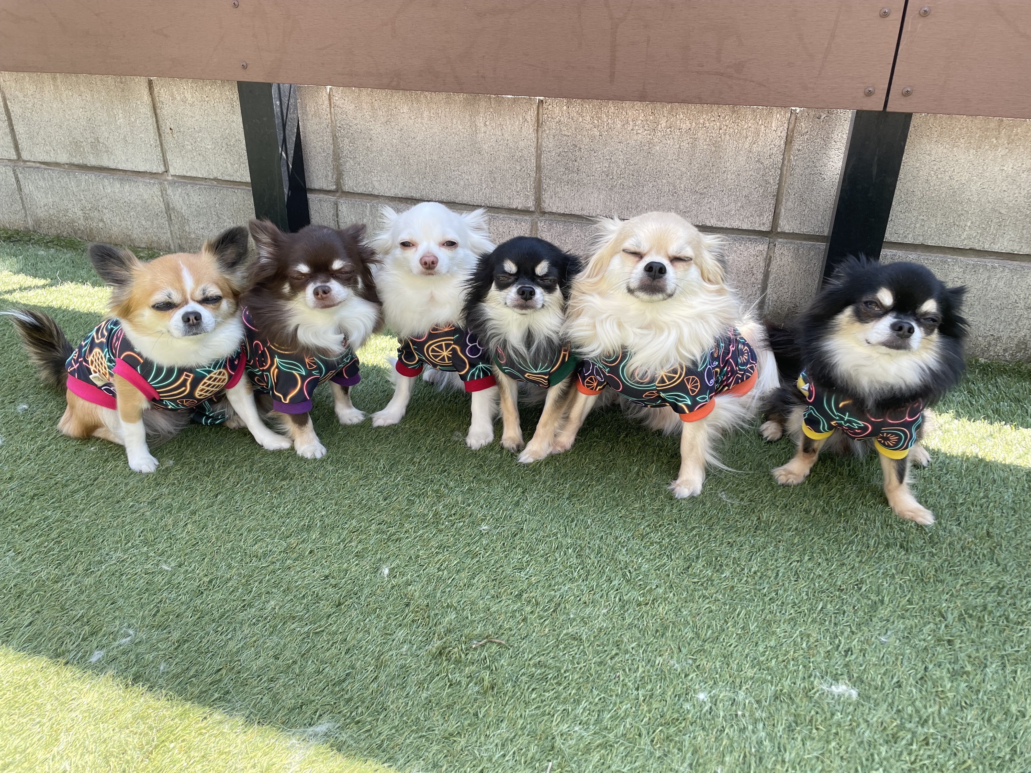 誰も知らない基地のこと('10伊) 誰も知らない基地のこと('10伊) Amazon.co.jp: 誰も知ら