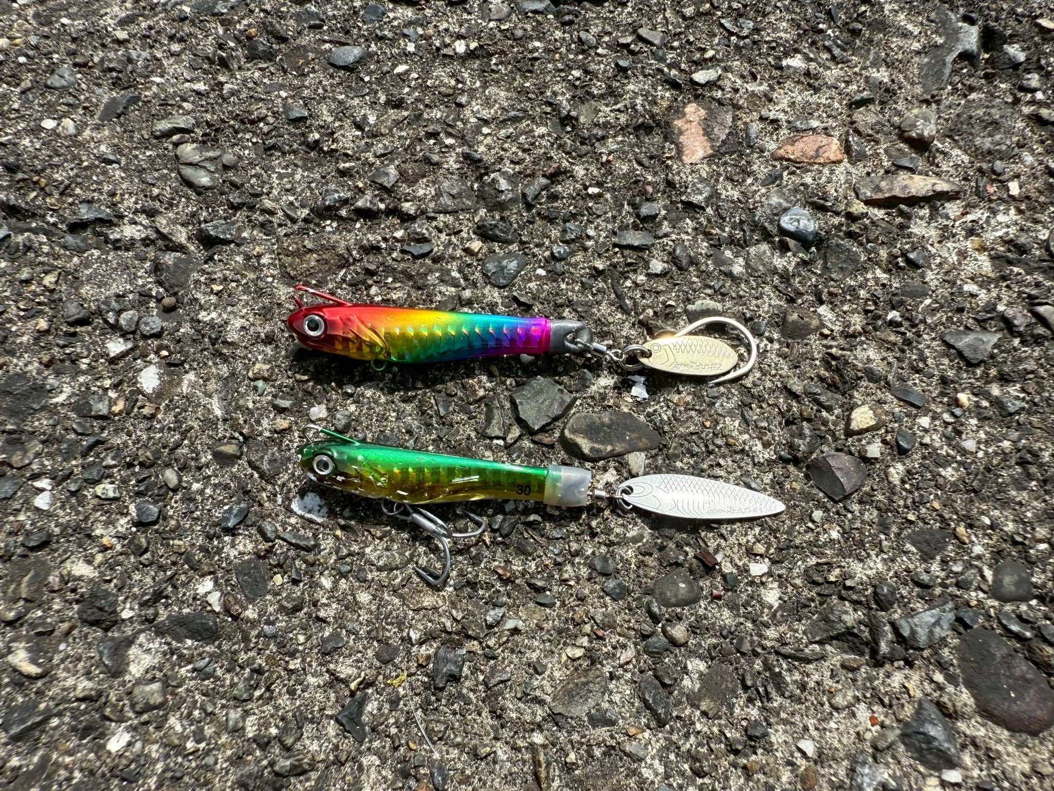 琵琶湖蟲 (@biwakomusi13551) / X