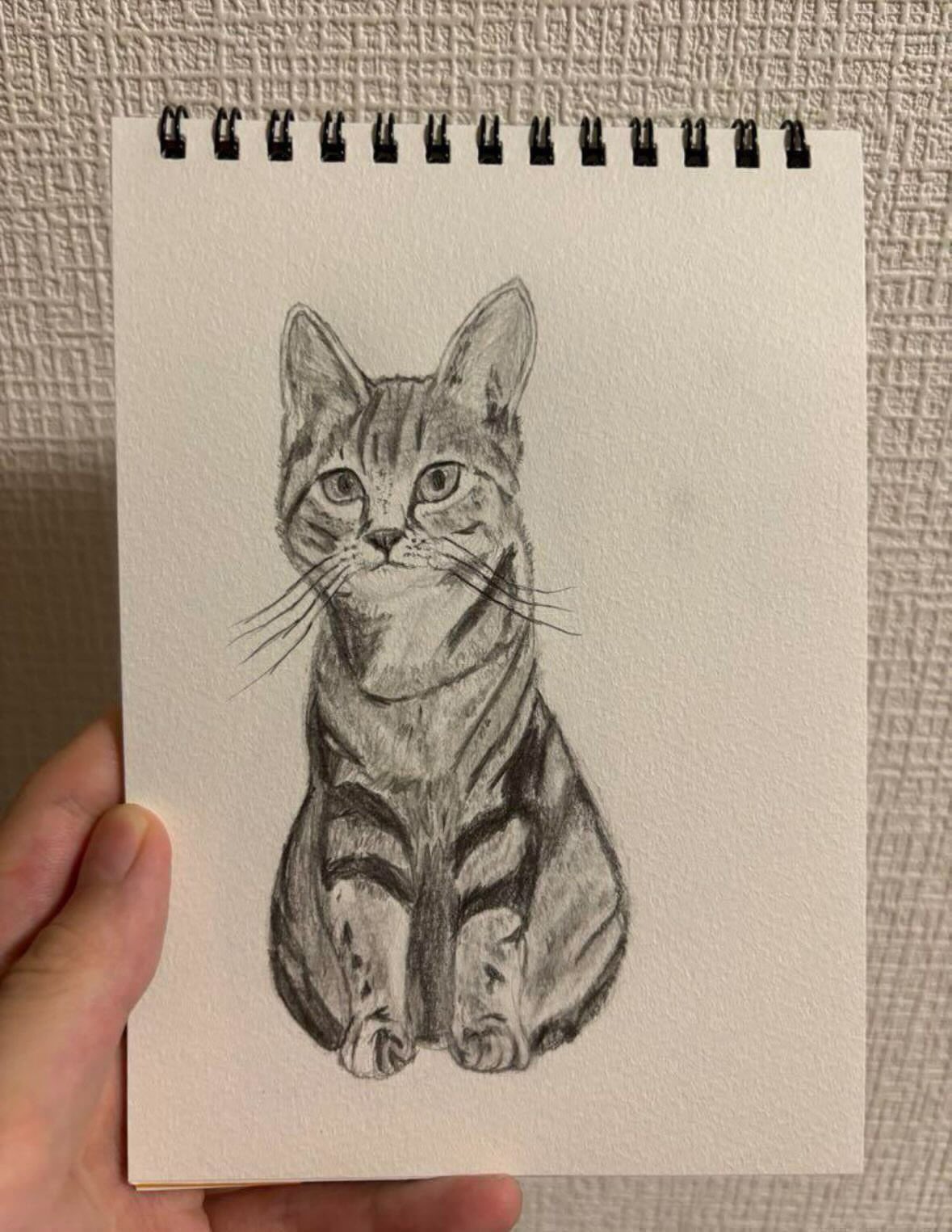 Tetsu　猫　鉛筆画　原画 色鉛筆画 鉛筆画 原画 猫 絵 絵画 手描きイラスト 閲覧数が
