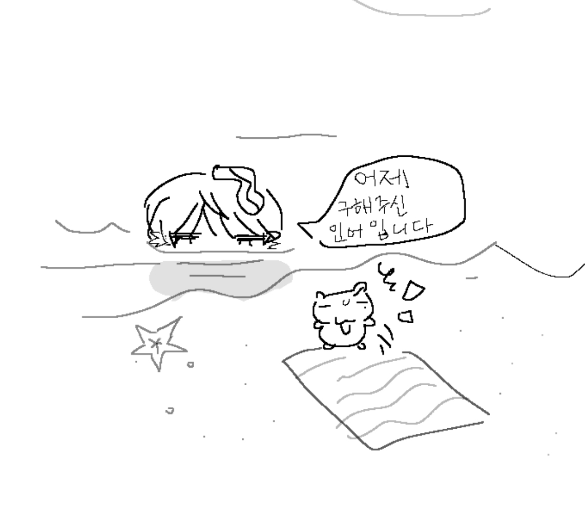 꿀밤 tweet media