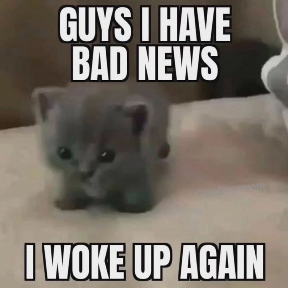 PSYCH0TR4P's tweet image. another day of work and school #progrinder #protractor #uwu