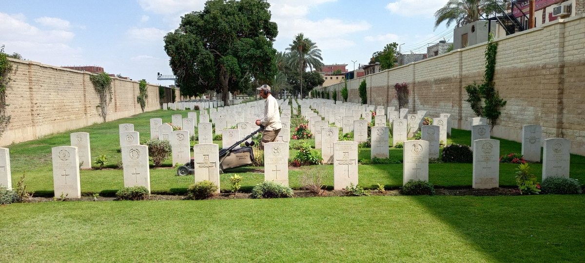 Walid Matrawy@cwgc tweet media