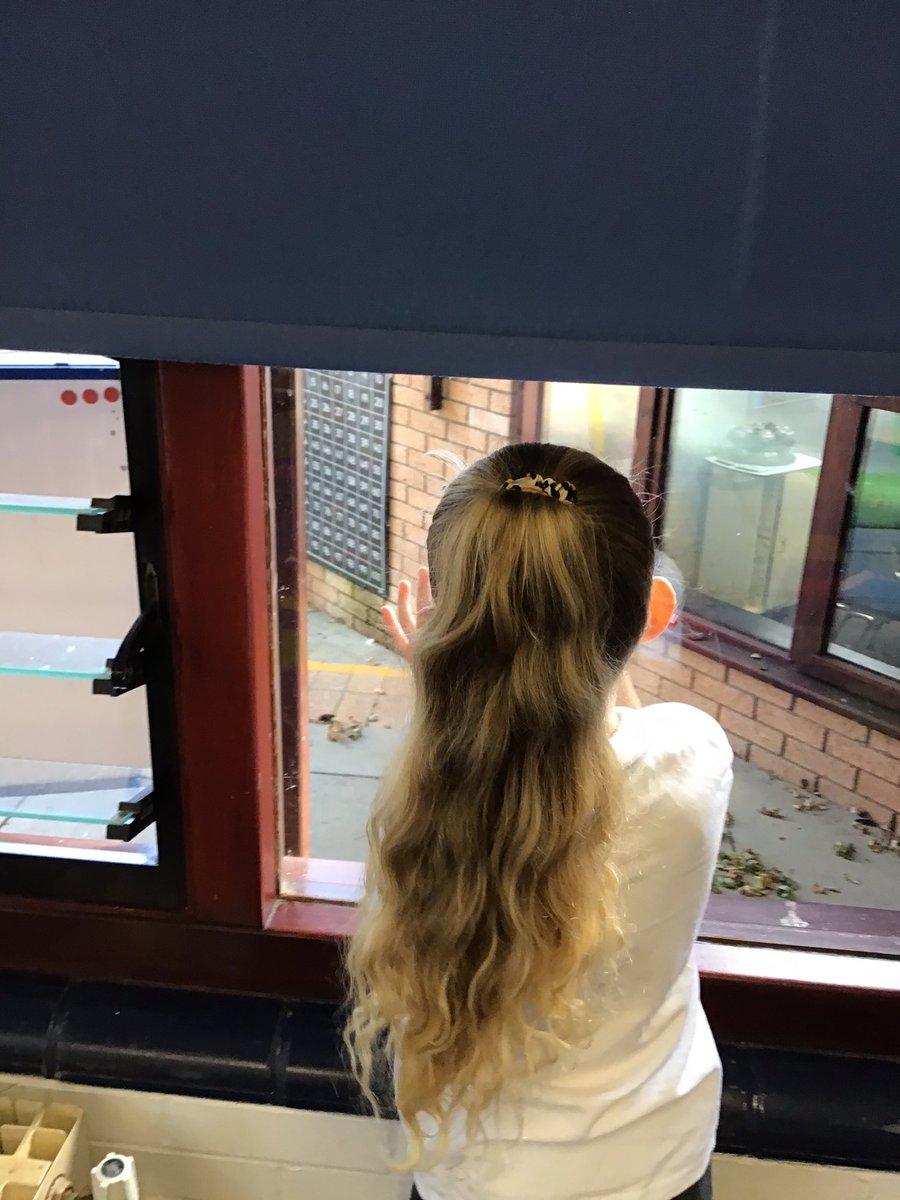 Today Year 1@JeffersClass have been learning about common nouns in English. They had to identify the different common nouns around the room