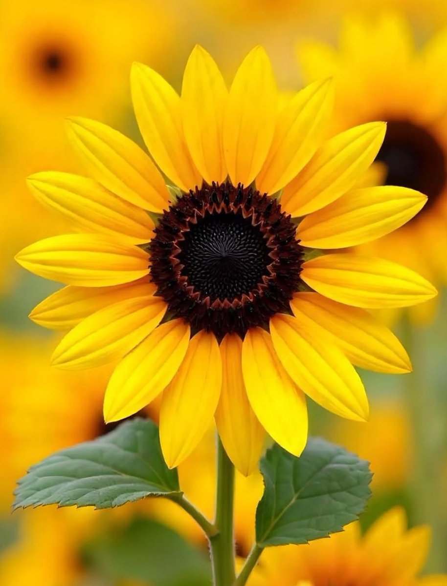 Be happy in your own way, because happiness is not what others say, but what makes you happy.