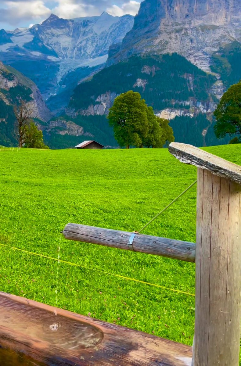 GardnerMan88192's tweet photo. Magical Switzerland ˜ https://t.co/Hbn0ewurGn