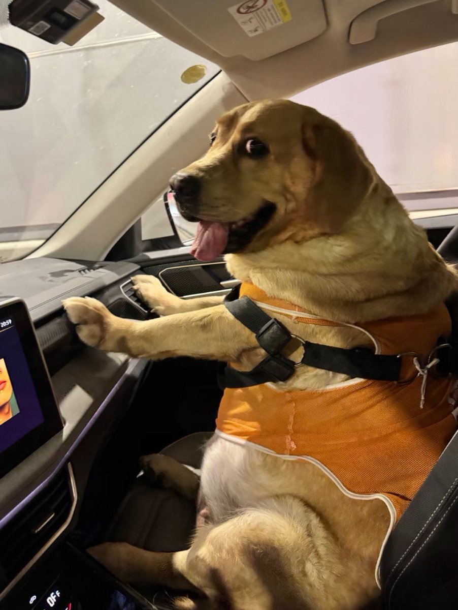 Brodell12X's tweet image. Got to drive on the “wrong side” of the road today, which had me feeling like lil bingus here. 
#Divinus #LetsHaveIt #London #Bosh