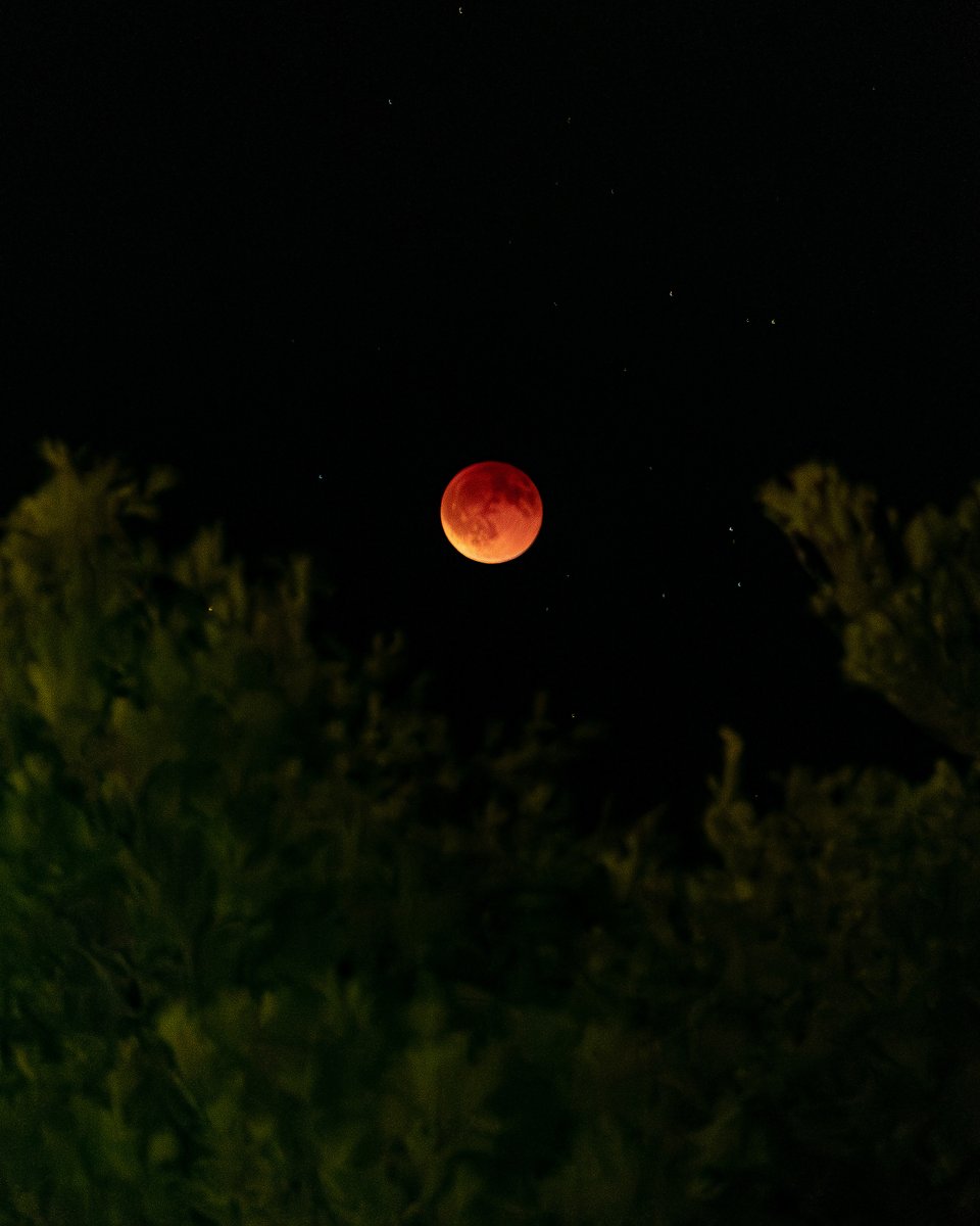 Moon eclipse 2025
Canon R6, Canon RF18-270, F6.3, ISO25600, 1/6sec, handshots