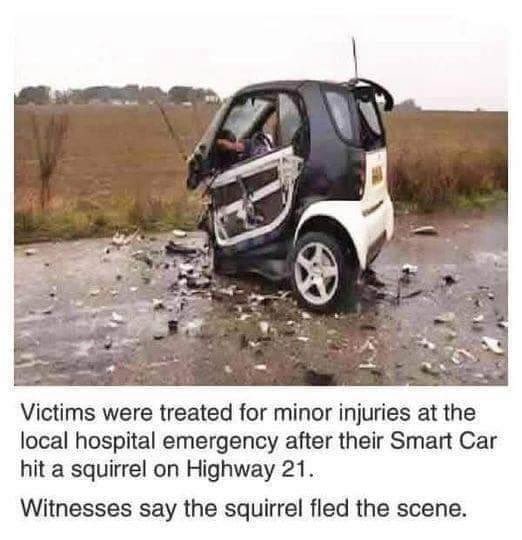 Underground Memerian (@undergroundgram) on Twitter photo 