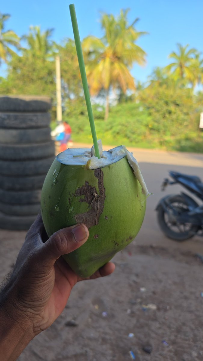 Siddurp2's tweet image. Stay glowing, stay hydrated ✨🥥 Coconut water = nature’s Gatorade, minus the sugar. 💧 #GlowUp #HydrationHack