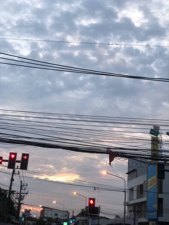 น้องใหม่สายเลือดผสม tweet media
