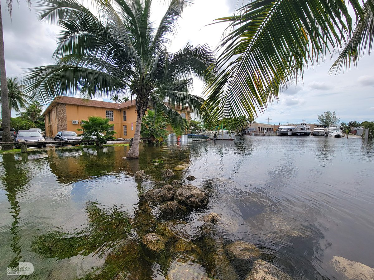 King Tides are here, Sept. 8-11. These are the highest tides of the year and can cause flooding in low-lying areas. Be prepared and stay safe. <a href="/MiamiDadeRER/">MiamiDade County RER</a> miamidade.gov/kingtides