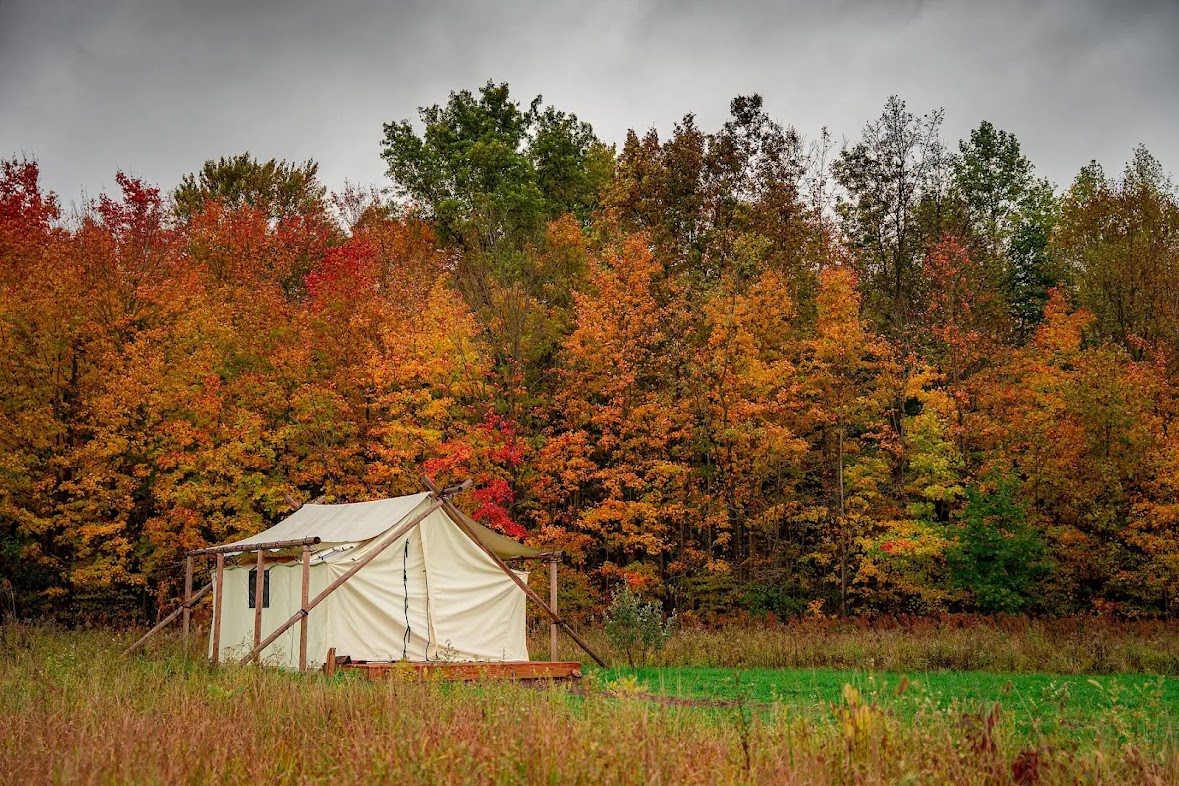 Mission: St. Louis tweet media