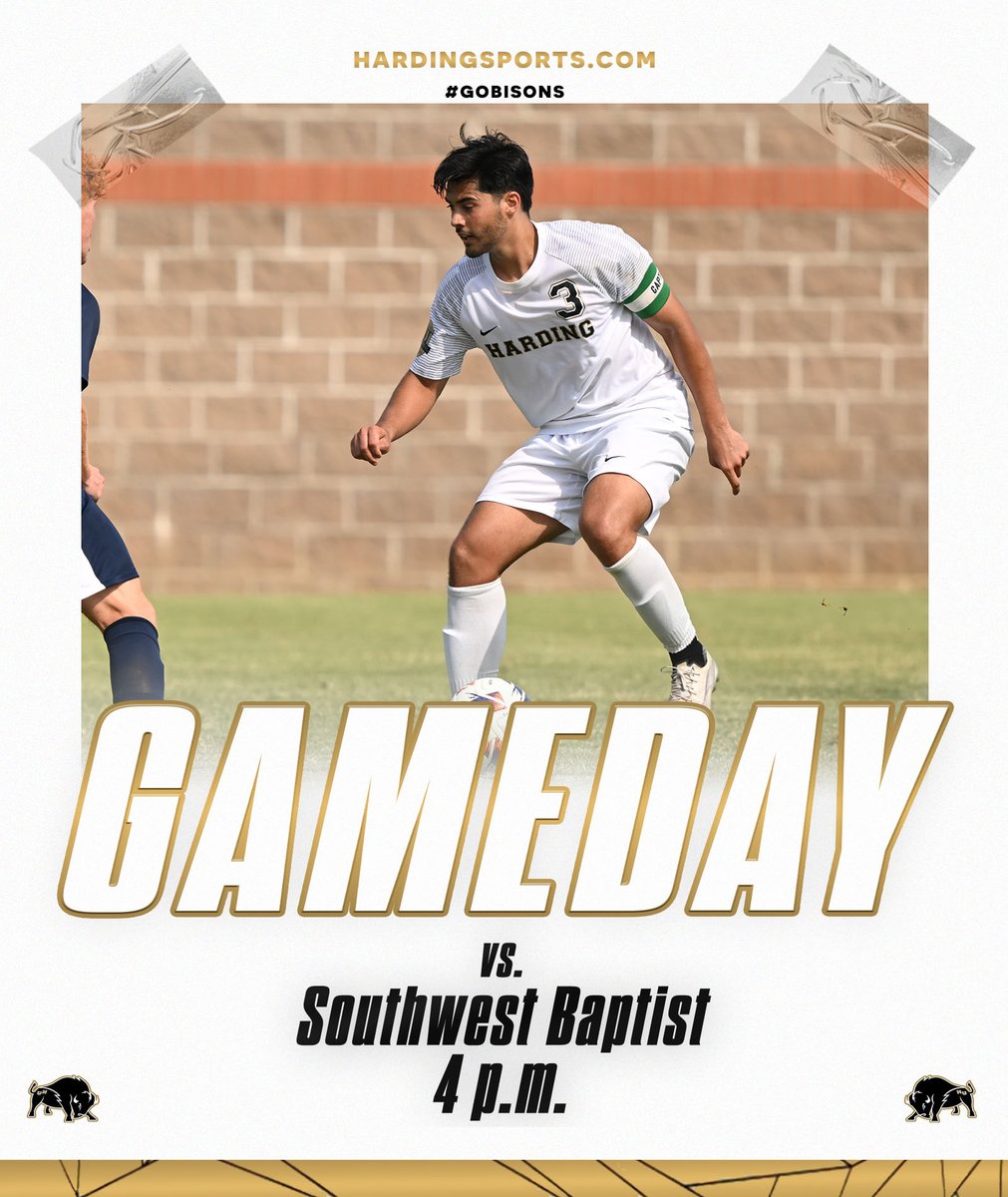 .@Harding_MSOC GAMEDAY! Come out to the Stevens Soccer Complex at 4 p.m., to watch the Bisons take on Southwest Baptist. #GOBisons

Stats: ow.ly/GXT150WP8Hm
Video: ow.ly/HAWc50WP8Ho