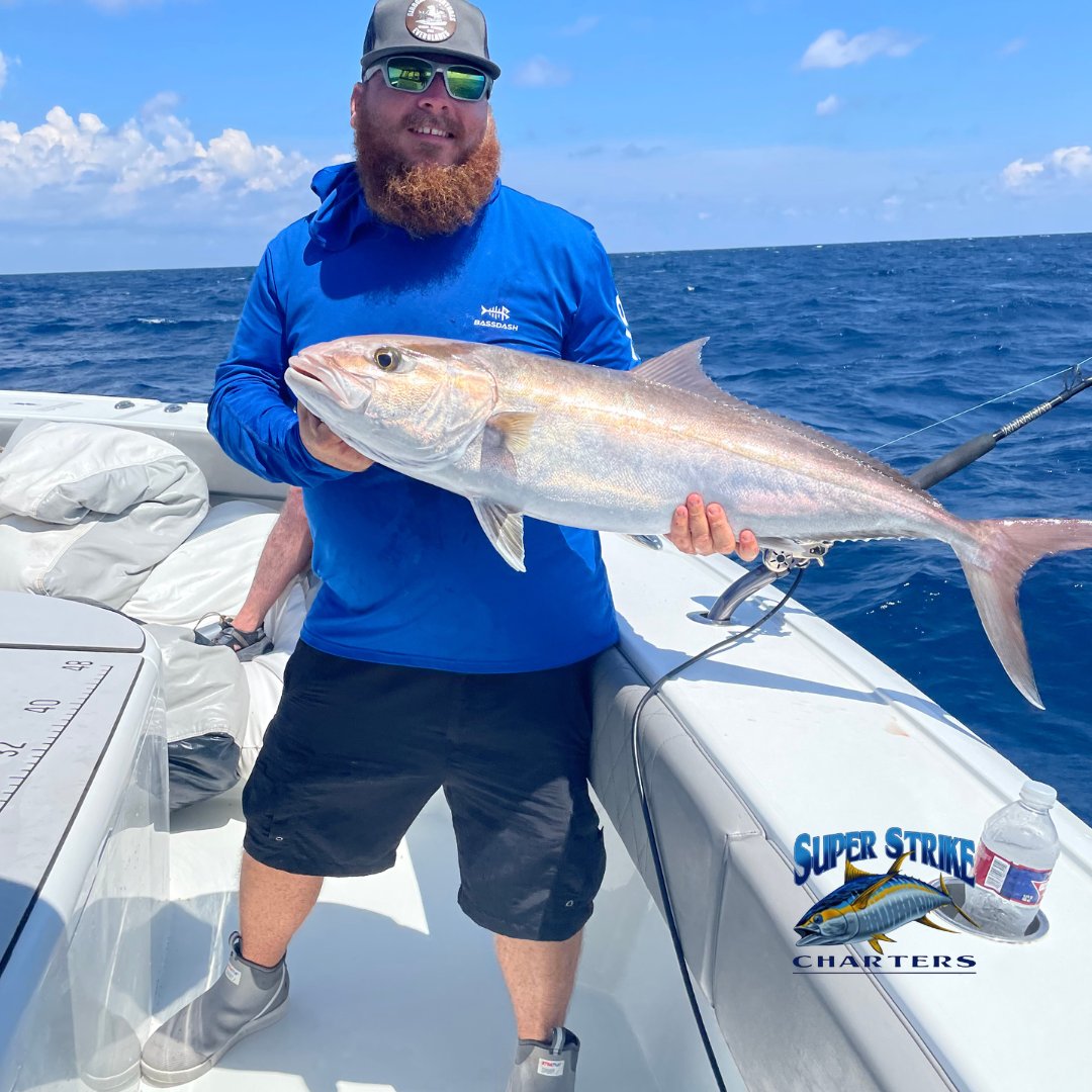 DPMSSC's tweet photo. Three epic days on the water wrapped up for the Mislow crew from Florida π£π₯ Captain Bob made sure their final day ended just as strong as it started!
#SuperStrikeCharters #OffshoreAdventure #YellowfinTuna #RedSnapper #MahiMahi #FishingTripOfALifetime https://t.co/v05VsjIdkY