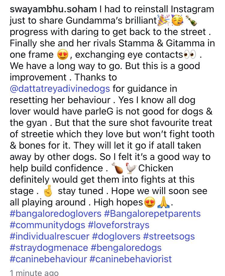 swayambhusoham's tweet image. Rivals &amp;amp; Gundamma in a frame 😍. All thanks to Canine Behaviourst for guidence to get both to coexistence. I recommend all #doghaters #Indians to join the amazing virtual sessions &amp;amp; bring in a change#Streetdogmenace . #communitydogs #Streetdogd #Bengaluru #pets #Doglovers