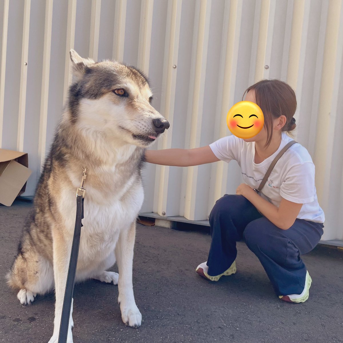 今日は従姉妹ちゃんが来てくれたよ😊

#イデックス