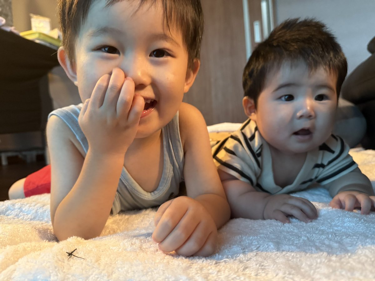 SE___7007's tweet photo. 上のヤンチャ坊もちっこいのも大きくなったね〜😆 https://t.co/mC2GN5NUw4