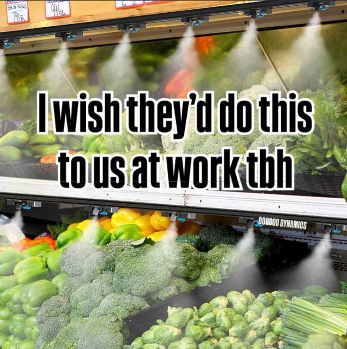 Respectful Memes (@respectfulmemes) on Twitter photo 
