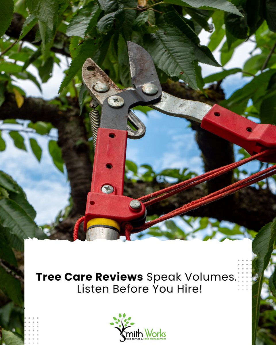 SmithWorksTree's tweet image. 🌳 Don’t just check ratings—read real reviews to ensure your tree care was done right, on time, and with expertise. Trust Smith Works Tree Service for quality, safety, and satisfaction. smithworkstreeservicenashvilletn.com

#TreeCareTips #CustomerReviewsMatter #TreeServiceE