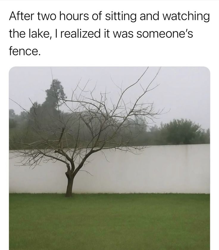 Schadenfreudelish tweet media