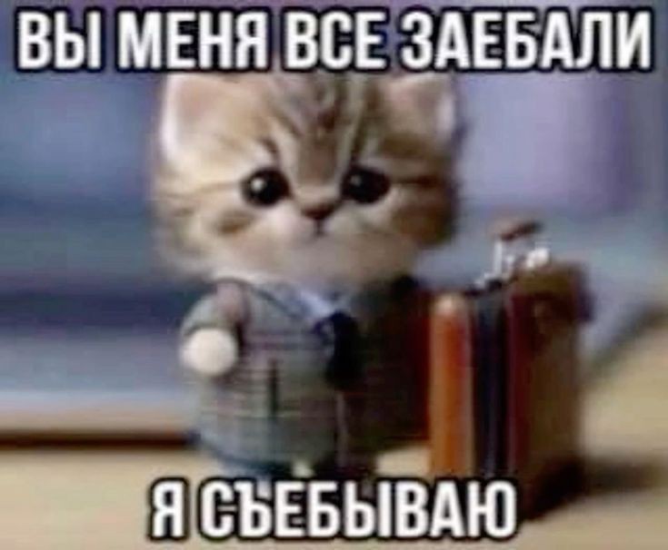 bzzzz3333's tweet photo. Мне необходимо покинуть тви на продолжительное количество времени. Чао https://t.co/d2T2iNy5kt