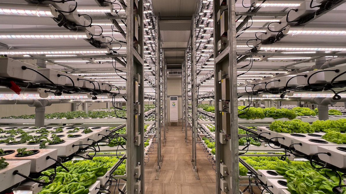 ClarksonsFarm tweet media