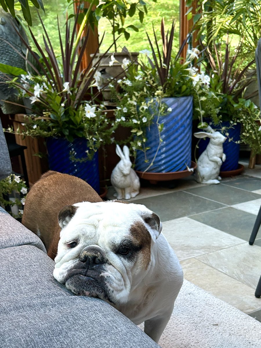 I think you have enough plants now, Mama.