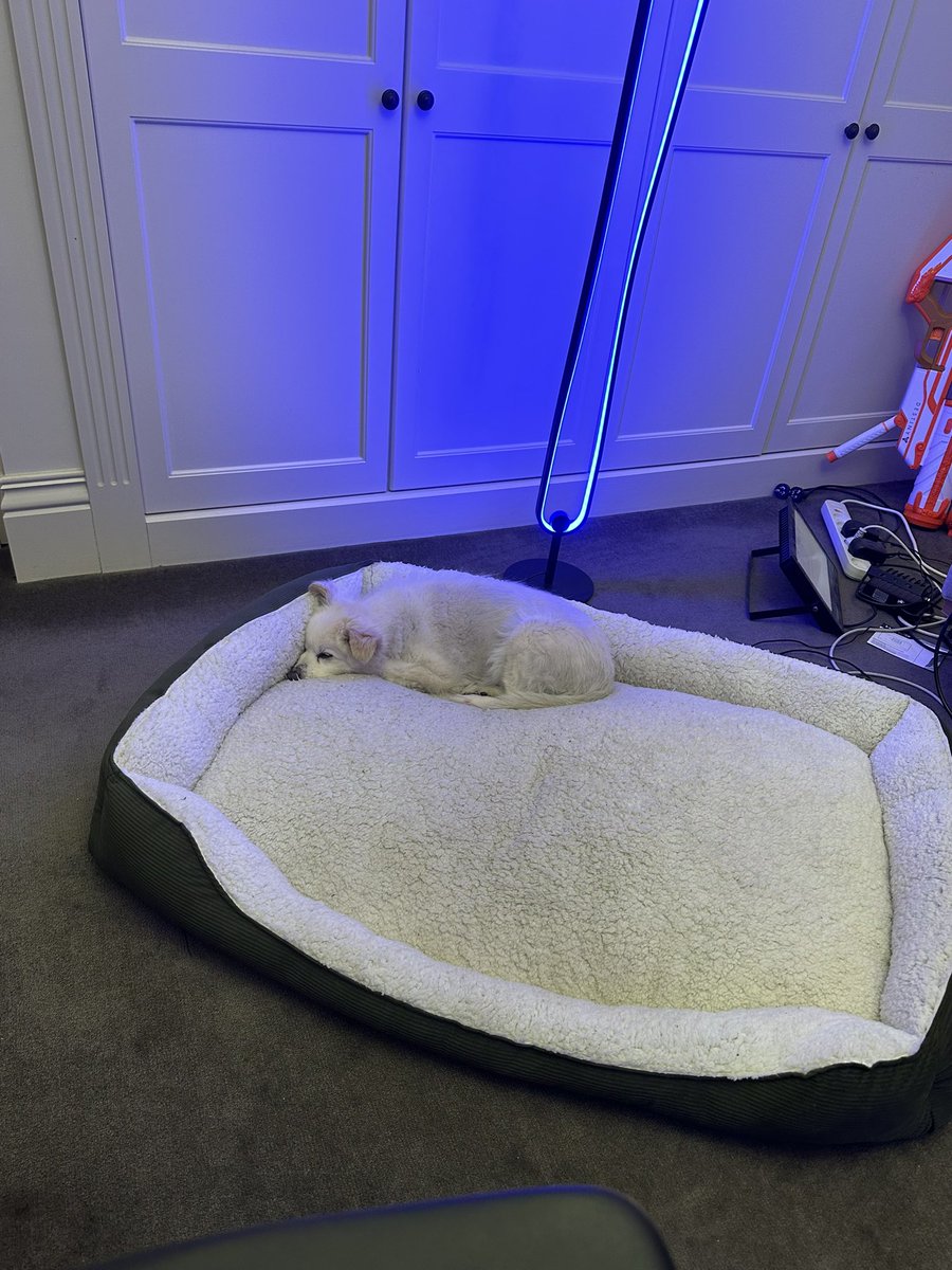 Someone plz cure this dry cough. 

I feel like I’m gonna flop

(Image unrelated, it’s just here for cuteness)