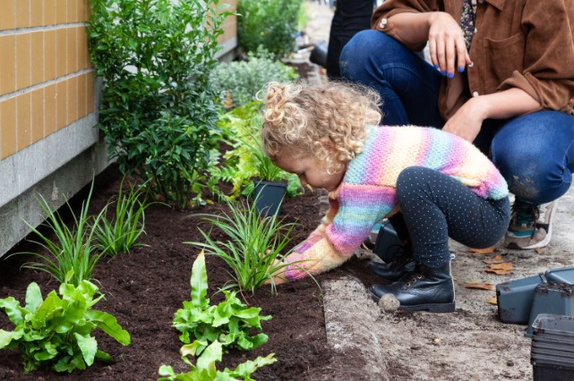 😯 Oei, geen enkele Brabantse gemeente gaat momenteel op kop bij het #NKTegelwippen! Pas op positie 3 zien we Roosendaal en Bernheze. Daar kunnen we nog verandering in brengen, doe je mee? Tegels eruit, groen erin! 🌸

nk-tegelwippen.nl
